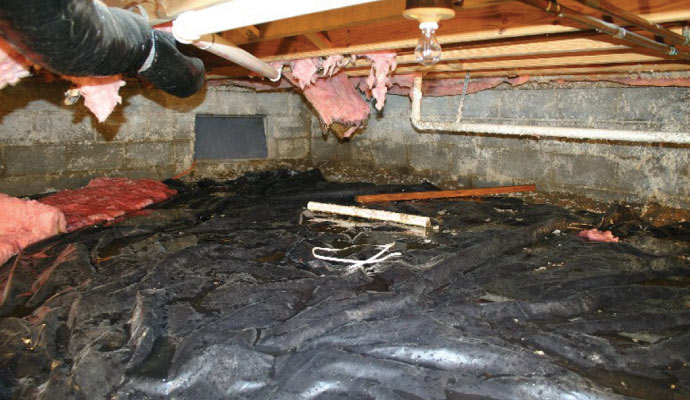 moisture in crawl space