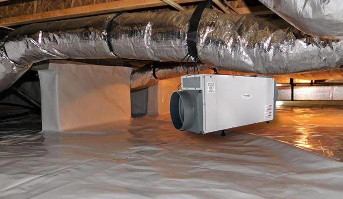 Installed a dehumidifier in the crawl space Installed a dehumidifier in the crawl space