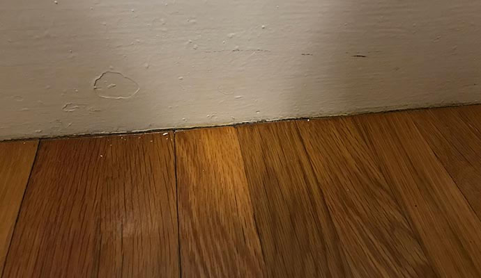 Wooden floor with visible wall damage