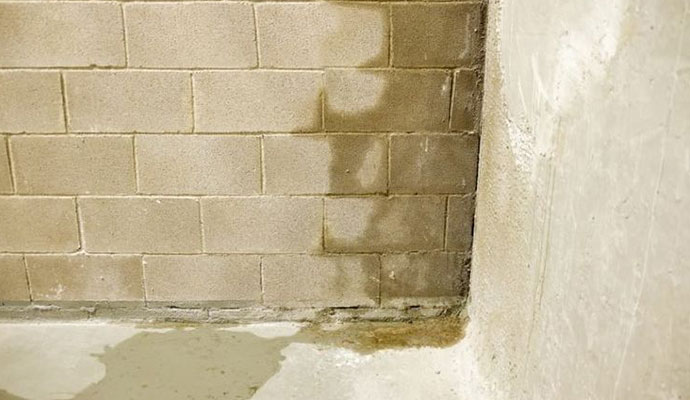 leaked wall in basement